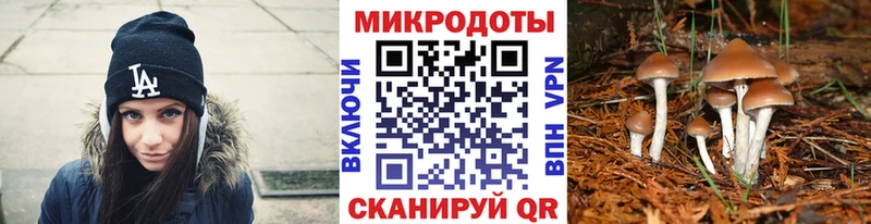 ОМГ ОМГ tor  хочу наркоту  Калининград  Псилоцибиновые грибы ЛСД 