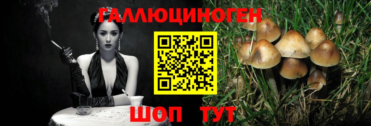 Галлюциногенные грибы Cubensis Калининград