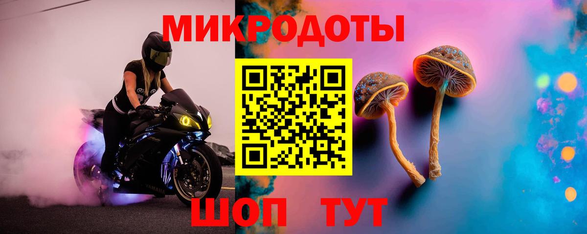 Псилоцибиновые грибы Psilocybe  наркошоп  Калининград  Вход с VPN 