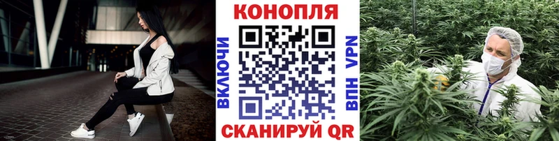 Шишки марихуана MAZAR  Калининград 